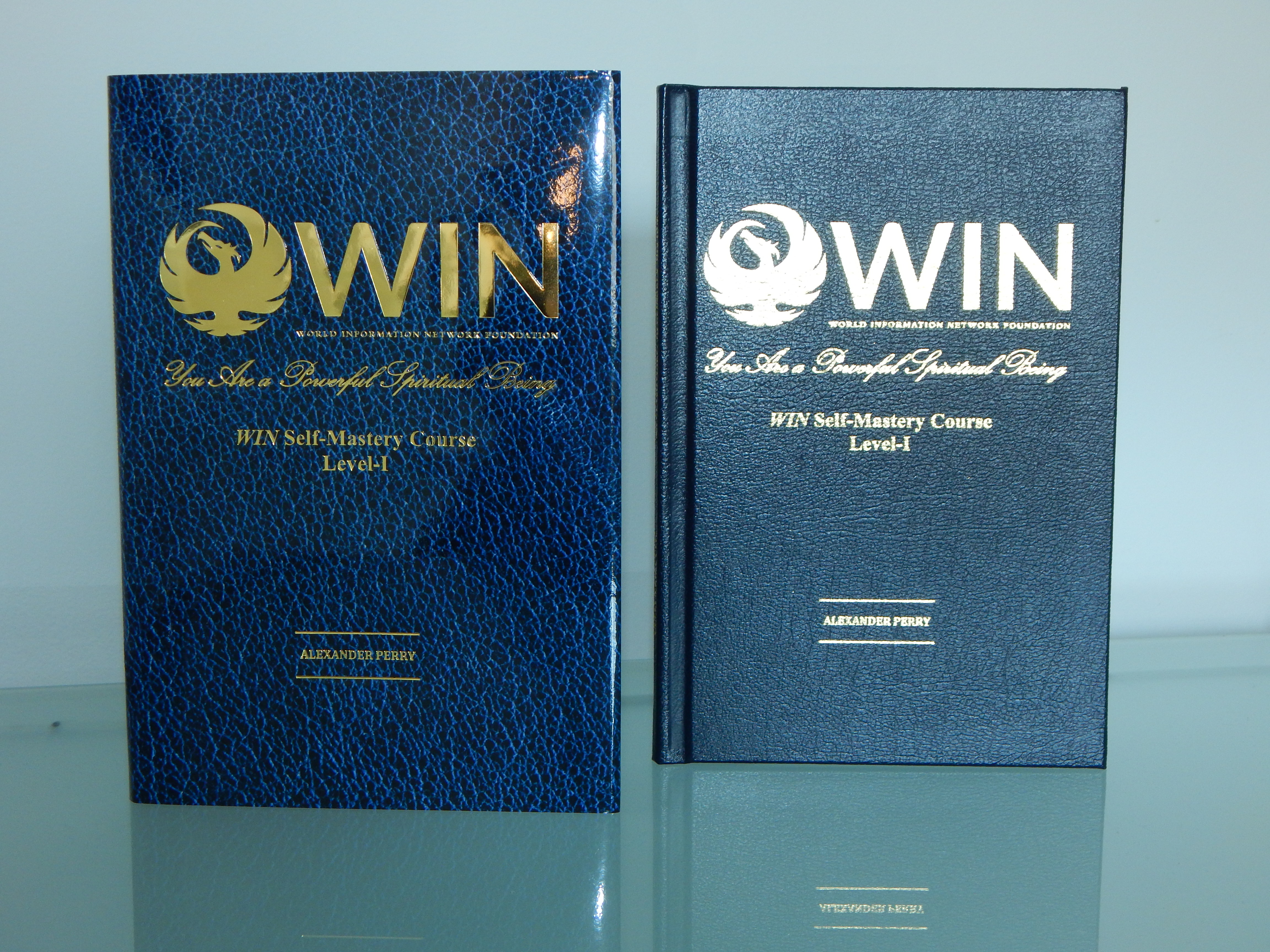 Self-Mastery Training Level-1Book You Are a Powerful Spiritual Being